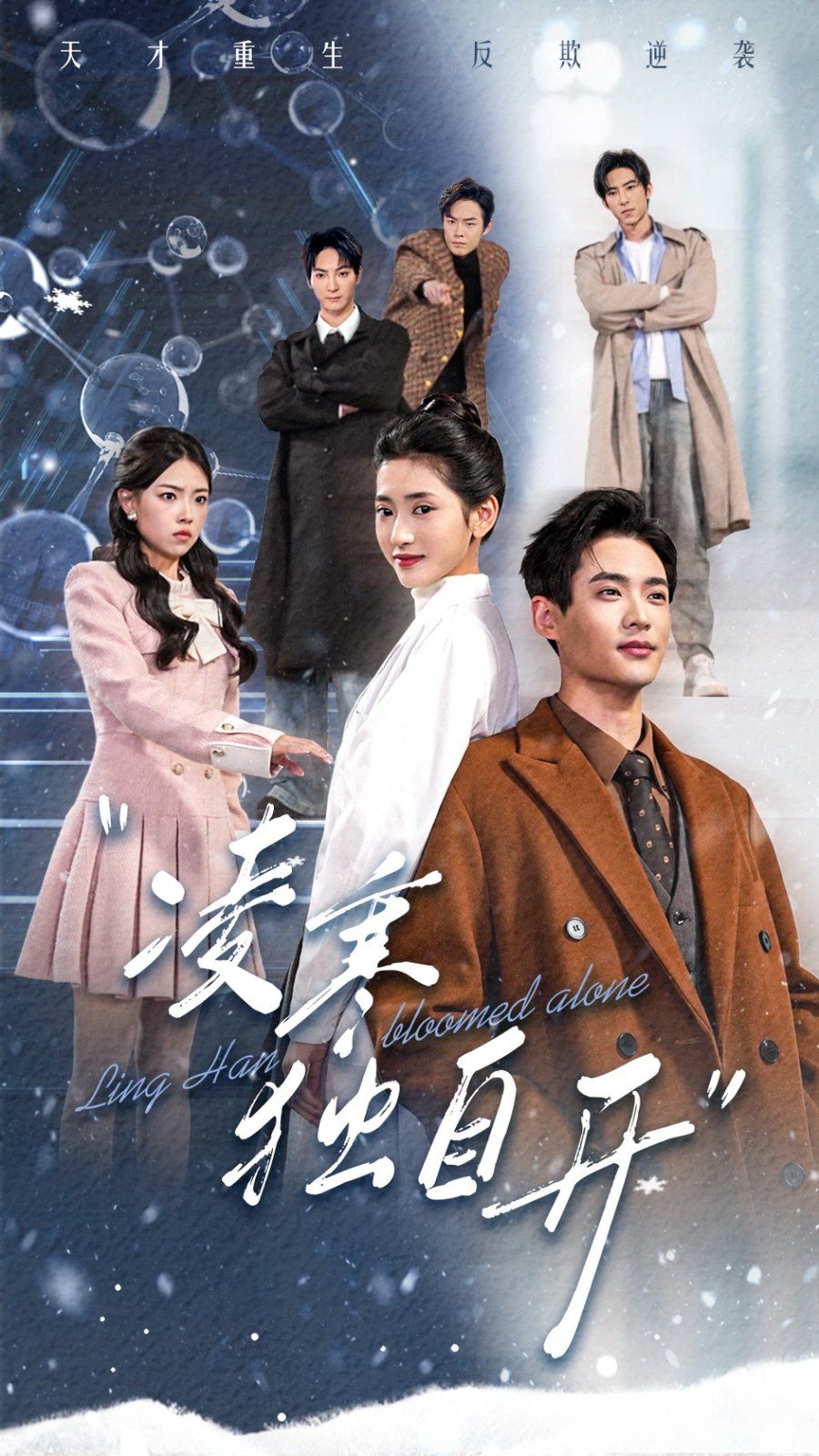 凌寒獨(dú)自開(kāi)(全集)