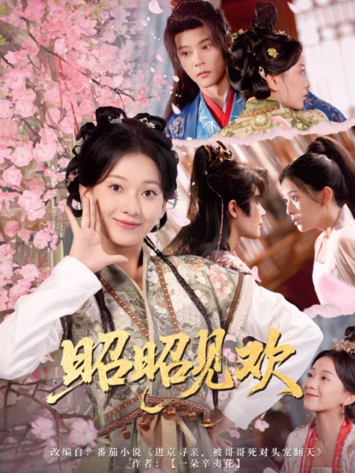 昭昭見(jiàn)歡(全集)