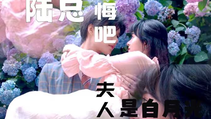 陸總懺悔吧，夫人才是白月光(全集)