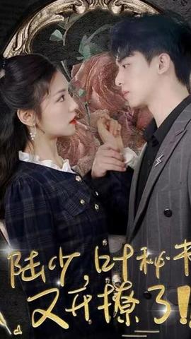 陸少，葉秘書又開撩了(全集)