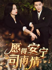 愿得安寧司南情(全集)
