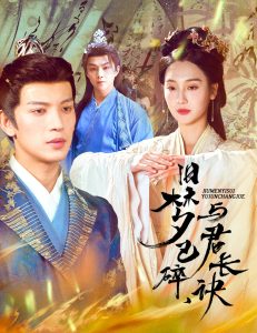 舊夢(mèng)已碎，與君長(zhǎng)訣＆終是深情錯(cuò)付君(全集)