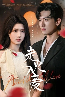 走火入愛(ài)(全集)