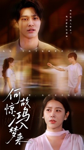 何故驚鴻入夢(mèng)來(lái)(全集)