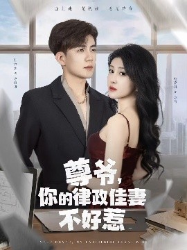 尊爺，你的律政嬌妻不好惹(全集)