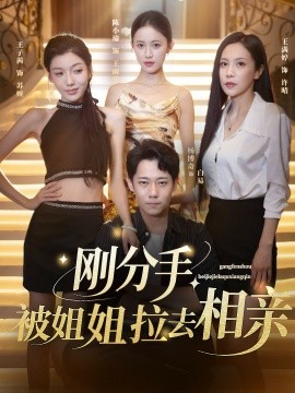 剛分手，被姐姐拉去相親(全集)