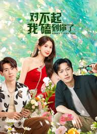 對(duì)不起我磕到你了(全集)