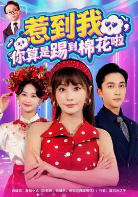 惹到我，你算是踢到棉花啦(全集)