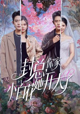 封總，你家小白花她開大了(全集)