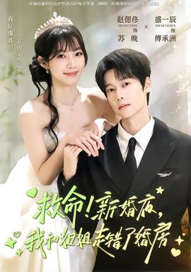 救命！新婚夜，我和姐姐走錯(cuò)了婚房(全集)