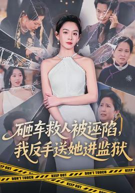 砸車救人被誣陷，我反手送她進(jìn)監(jiān)獄(全集)