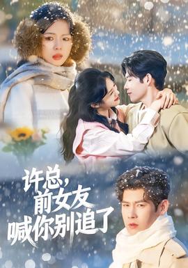 許總，前女友喊你別追了(全集)