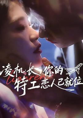 凌機(jī)長(zhǎng)，你的特工戀人已就位(全集)