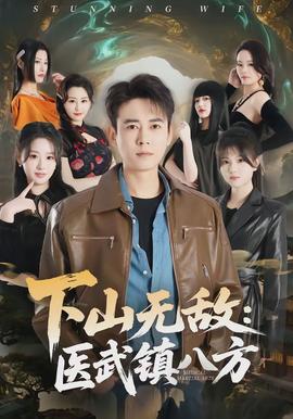 下山無(wú)敵：醫(yī)武鎮(zhèn)八方(全集)
