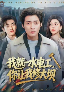 我就一水電工，你讓我修大壩(全集)