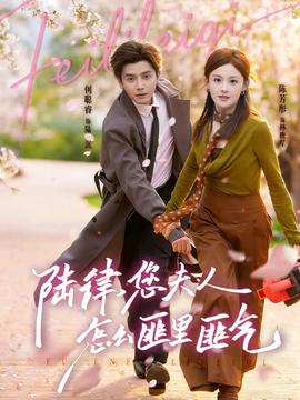 陸律，您夫人怎么匪里匪氣(全集)