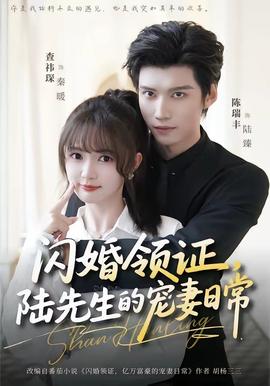 閃婚領(lǐng)證，陸先生的寵妻日常(全集)